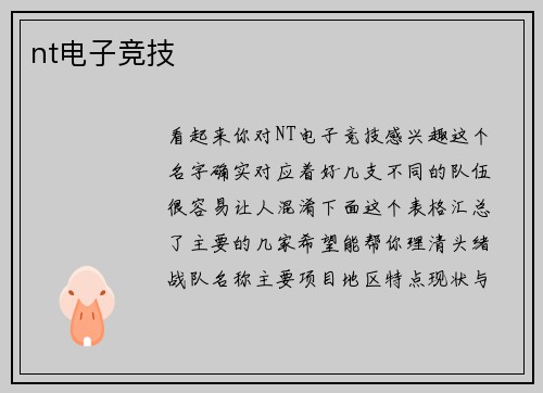 nt电子竞技
